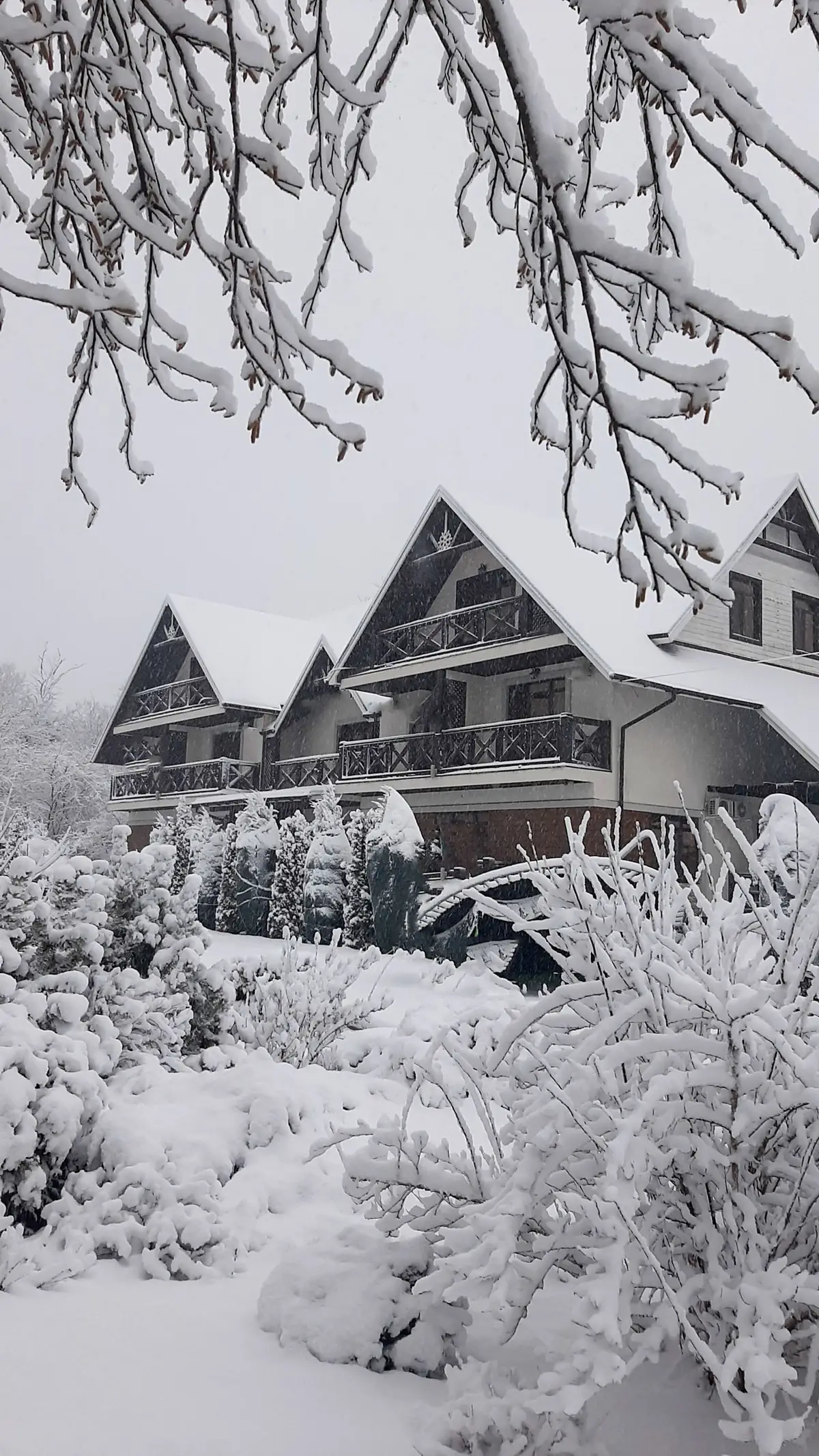 Houses blanketed in snow among winter trees