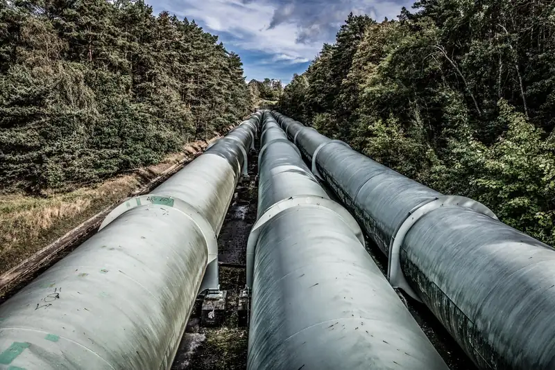 Large pipes running through a wooded area