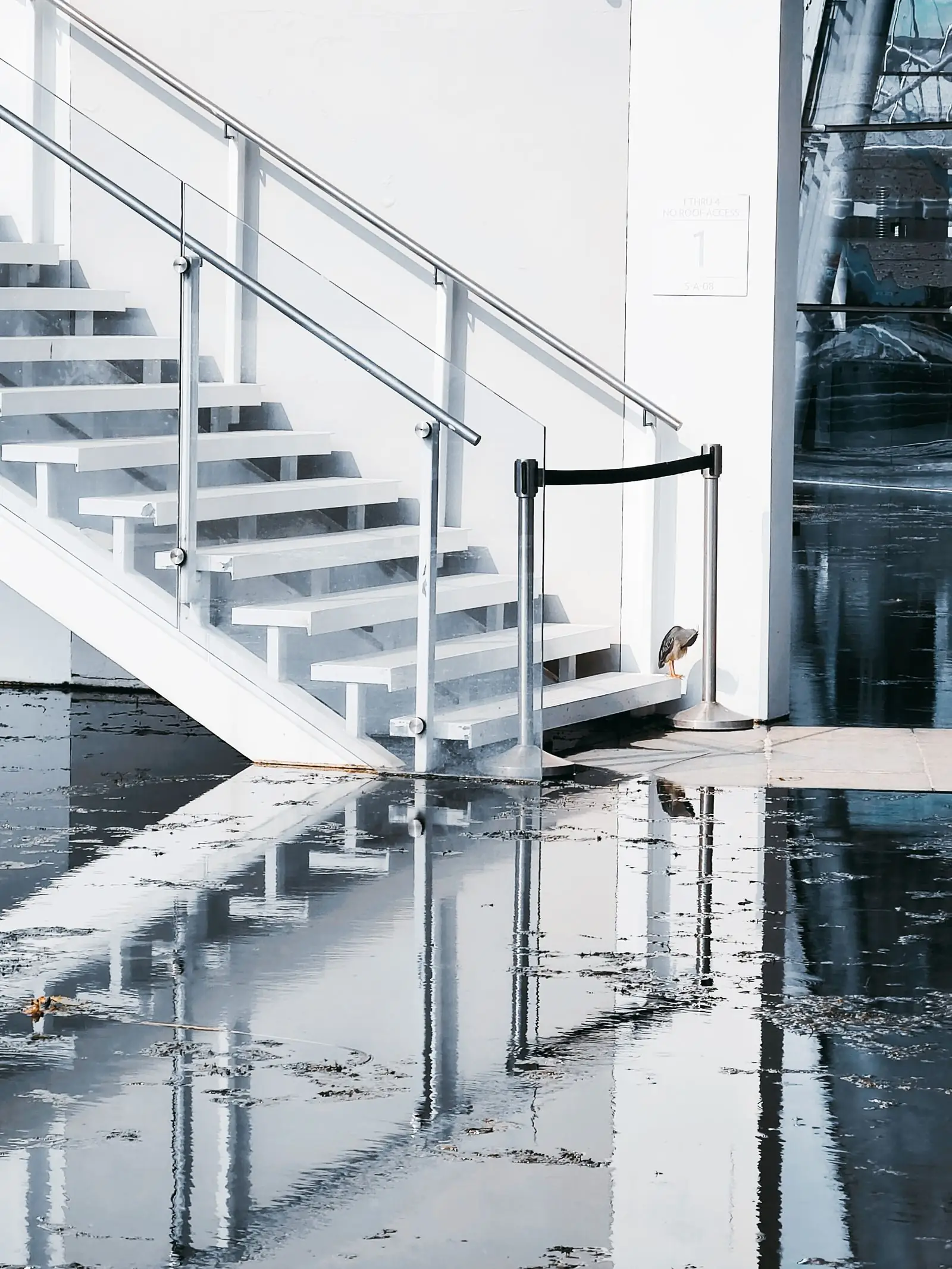 Standing water on a floor beside a white staircase